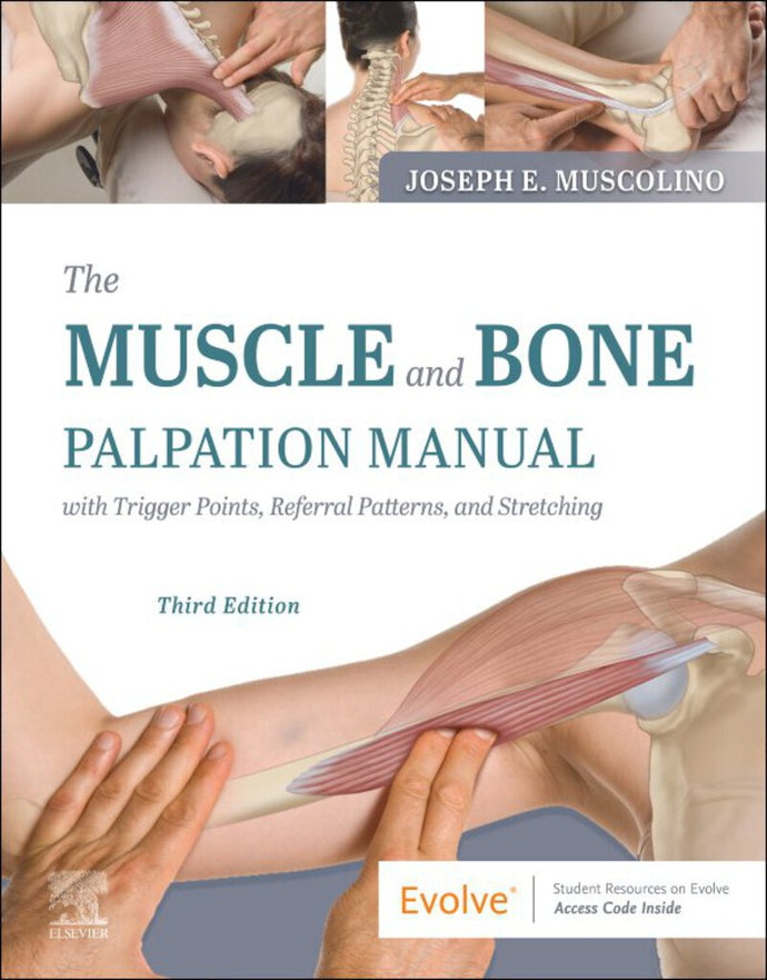 Muscle and Bone Palpation Manual with Trigger Points Referral Patterns and Stretching 3rd Edition by Joseph E. Muscolino 9780323761369 *74g