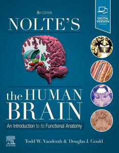 Nolte's the Human Brain 8th Edition by Todd W. Vanderah 9780323653985 (USED:ACCEPTABLE) *A22 [ZZ]