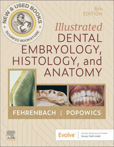 *PRE-ORDER, APPROX 2-3 BUSINESS DAYS* Illustrated Dental Embryology, Histology, and Anatomy 6th edition by Margaret J. Fehrenbach 9780443104244